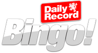 Daily Record Bingo
